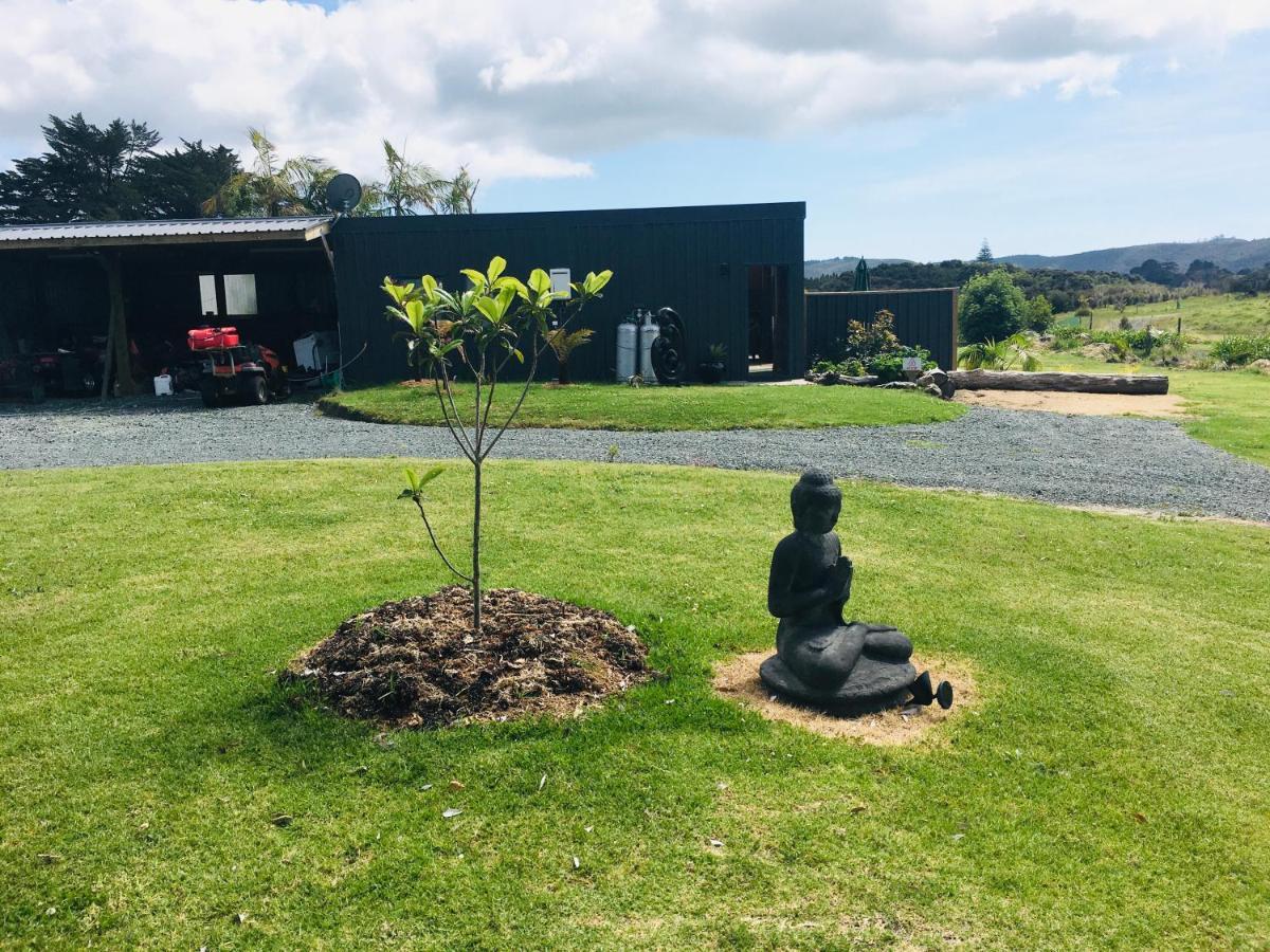 The Camel At Araiawa Raio Pukenui